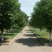 9813492_alleya 9813492_alleya