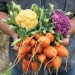 GRT-MA10-food-bank-veggies-i GRT-MA10-food-bank-veggies-i